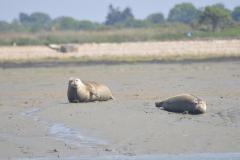 1510738181-image2